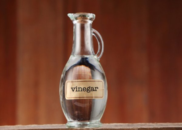 Định Nghĩa Vinegar